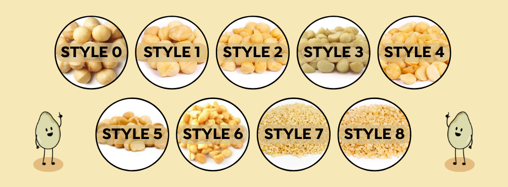 Premium macadamia nuts displayed in bulk quantities showing different quality grades and kernel sizes with pricing labels demonstrating wholesale versus retail cost comparison and volume discount tiers for commercial buyers seeking best per kilogram rates