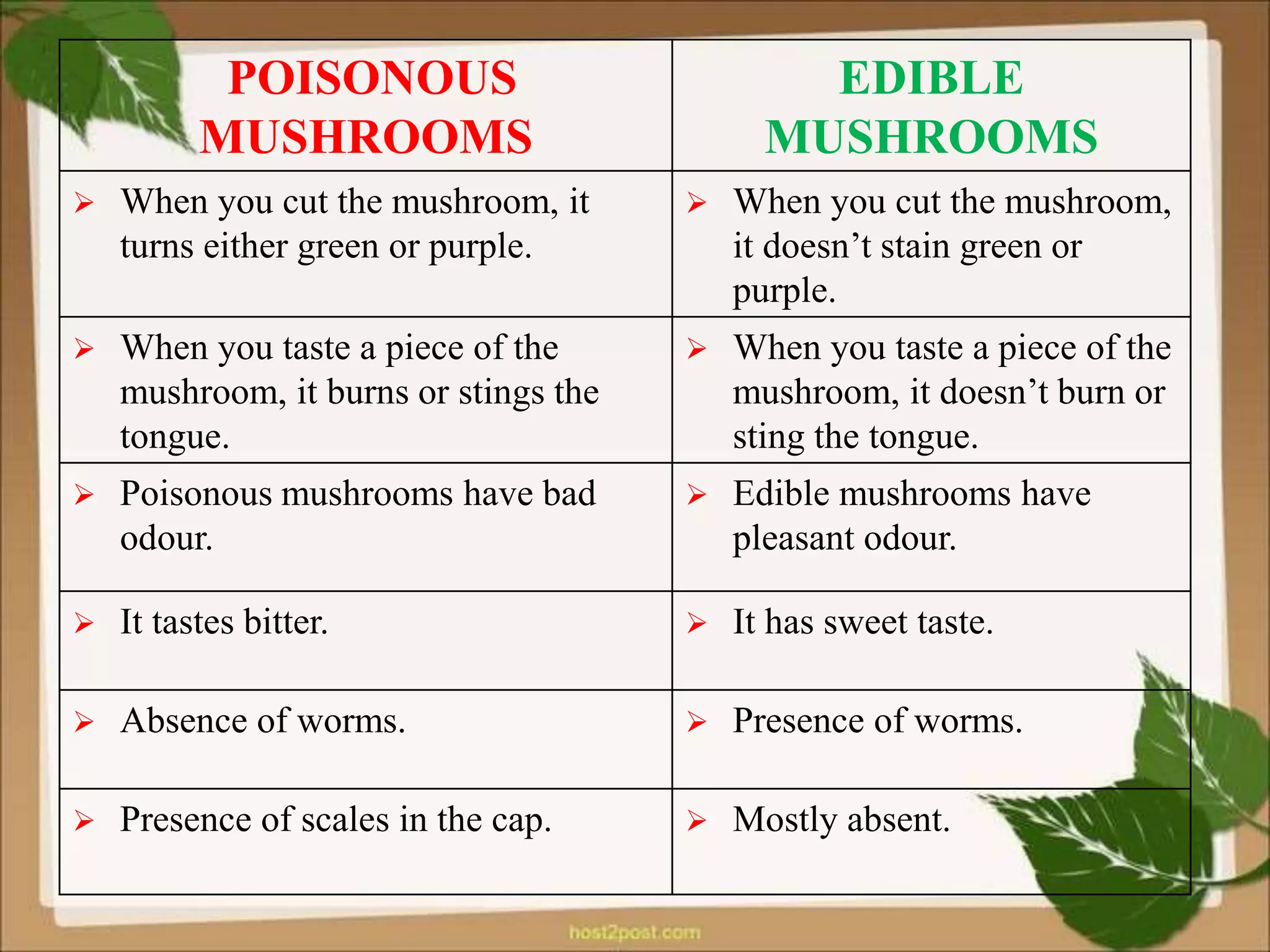 Safe mushroom identification Kenya comparing edible varieties versus poisonous toxic species with key differences