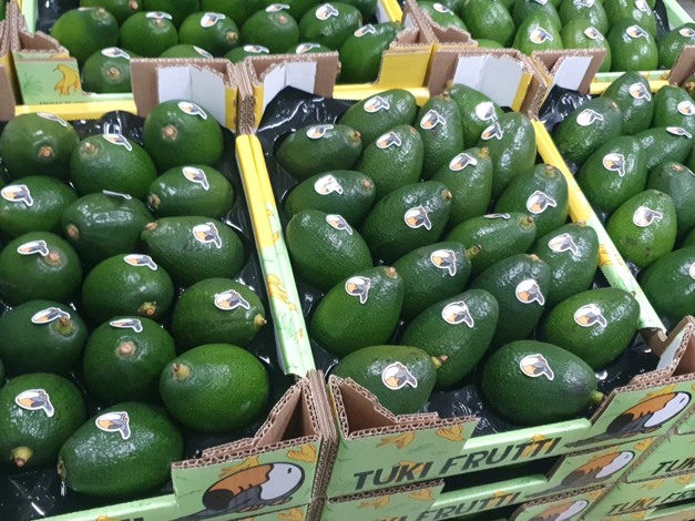 Seasonal avocado import cycles in German wholesale market
