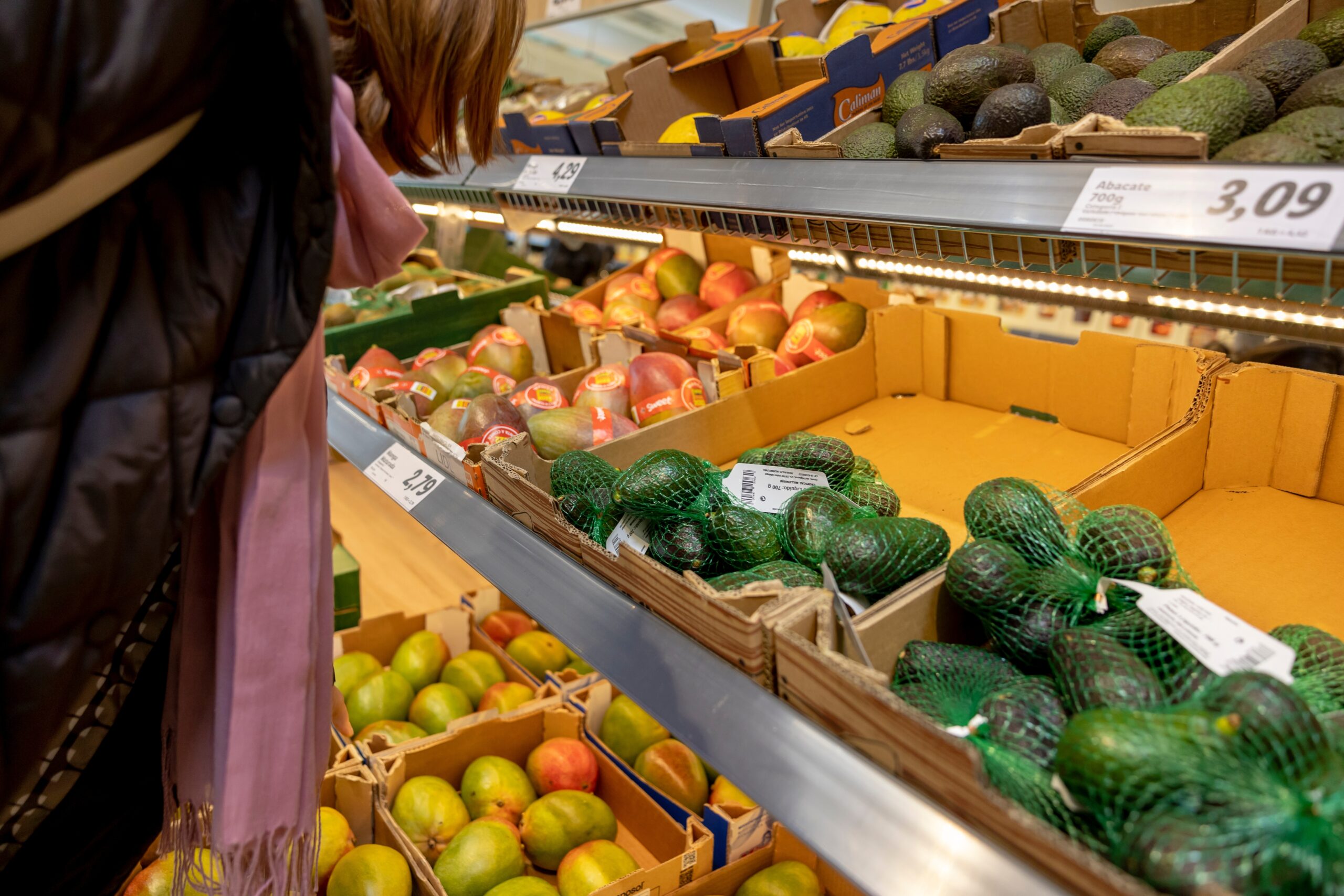 Variety of avocados in Canadian retail market