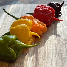Carolina Reaper chilli pepper variants including red yellow peach and white varieties side by side