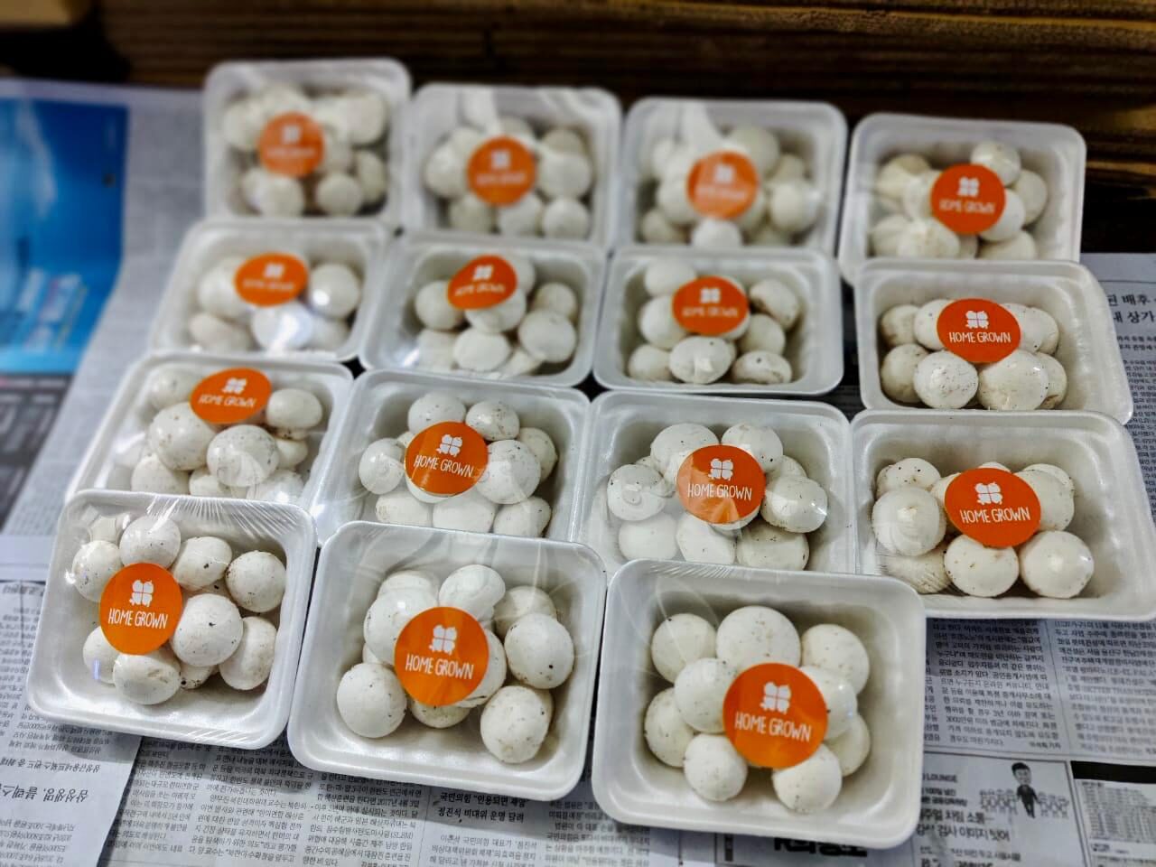 Fresh mushroom varieties on display at a Pakistan market showing button oyster and shiitake with price tags