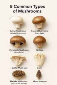 Different mushroom varieties in Pakistan including button oyster shiitake portobello and king oyster with price comparison