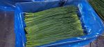 buy chives