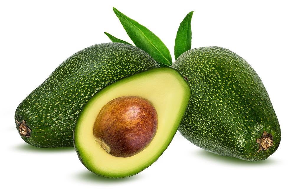 Pinkerton avocado tree showing compact spreading growth habit with fruit developing on branches — typical of commercial Pinkerton cultivation in warm climates