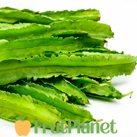 Buy Winged Beans Online